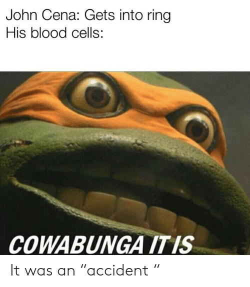 John Cena Gets Into Ring His Blood Cells