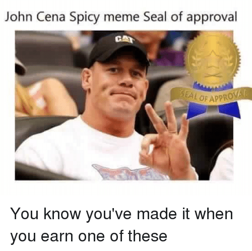 John Cena Spicy Meme Seal Of Approval
