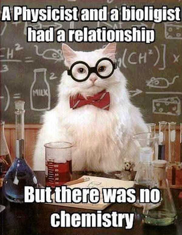 A Physicist And A Bioligist Had A Relationship