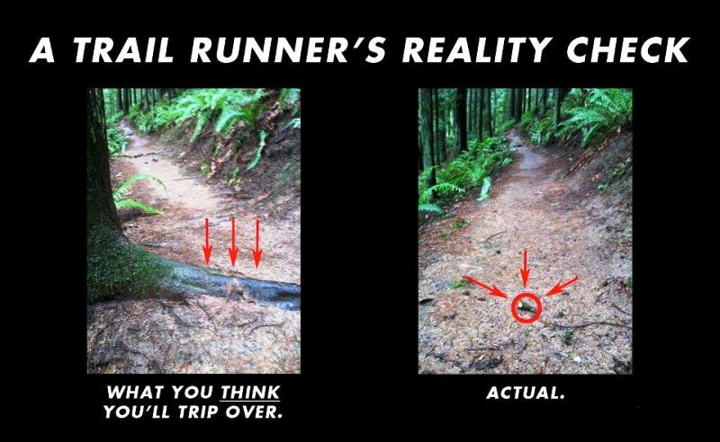 A Trail Runners Reality Check