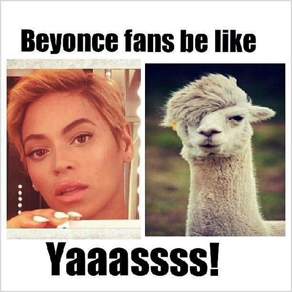 Beyonce Fans Be Like