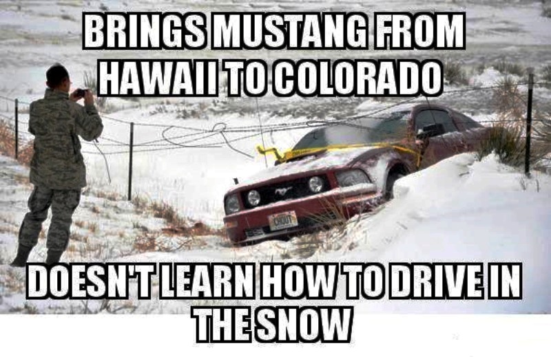 Brings Mustang From Hawaii To Colorado