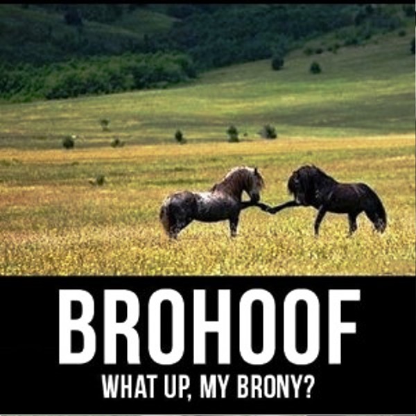 Brohoof What Up My Brony