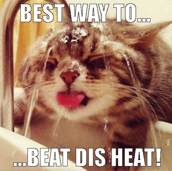 Best Way To Beat Dis Heat