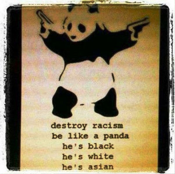 Destroy Racism Be Like A Panda