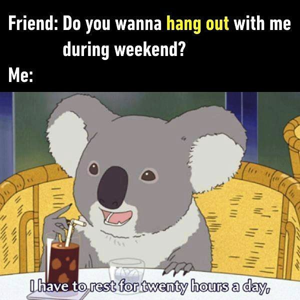 Do You Wanna Hang Out With Me