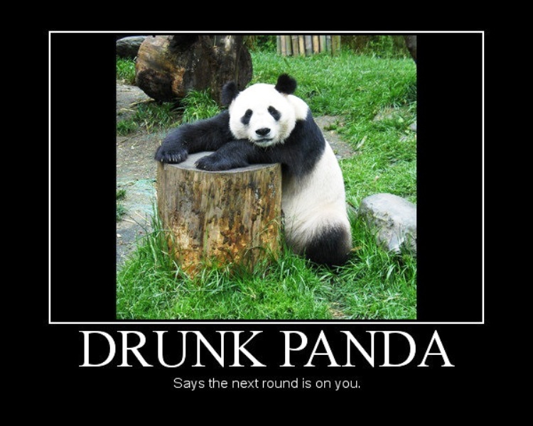 Drunk Panda Says The Next Round
