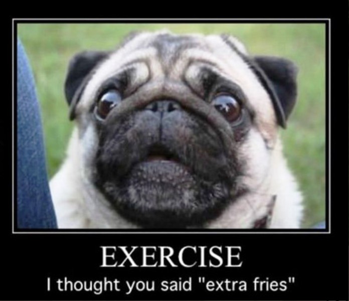 Exercise I Thought You Said Extra Fries