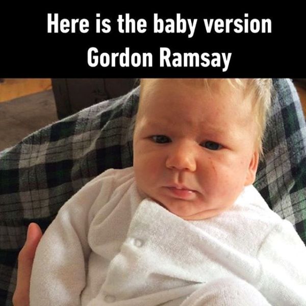 Here Is The Baby Version Of Gordon Ramsay