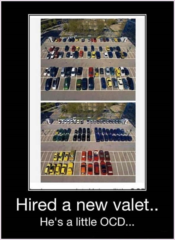 Hired A New Valet