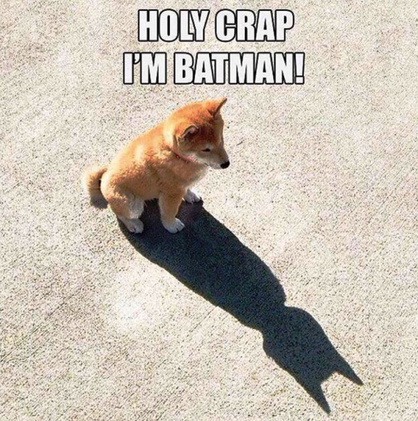 Holy Crap Im Batman