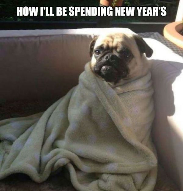 How I ll Be Spending New Year's