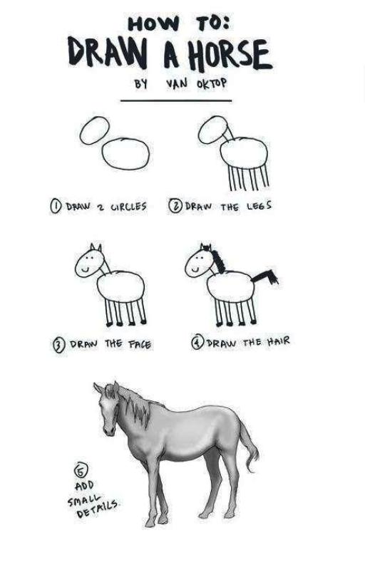 How To Draw A Horse