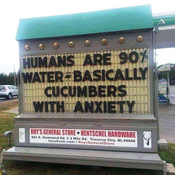 Humans Are 90 Percent Water Basically