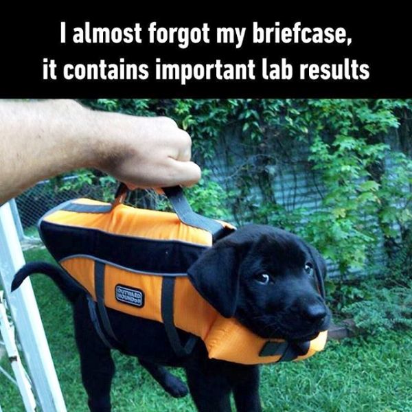 I Almost Forgot My Briefcase