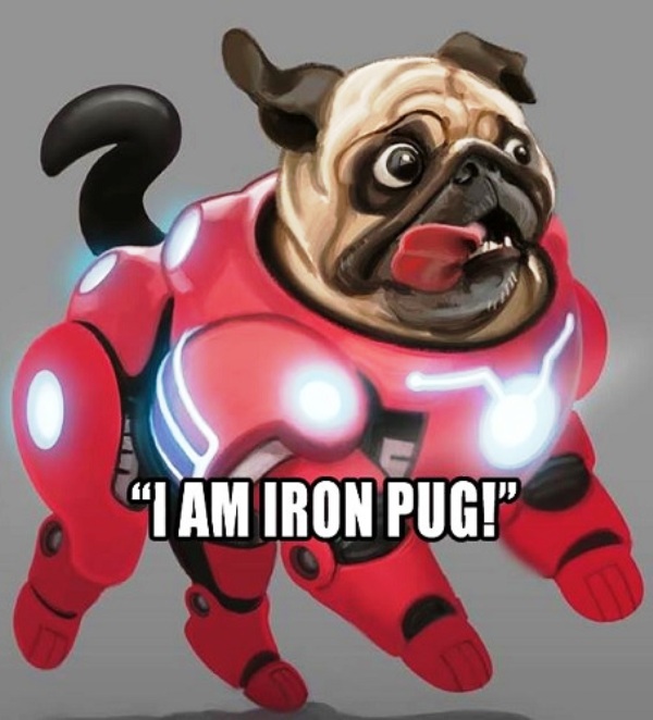 I Am Iron Pug