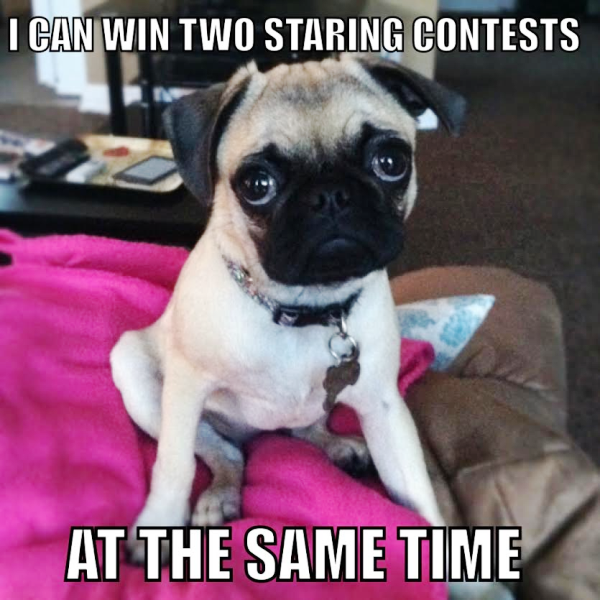 I Can Win Two Staring Contests