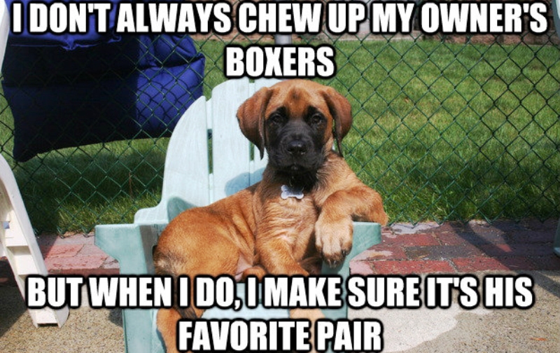 I Dont Always Chew Up