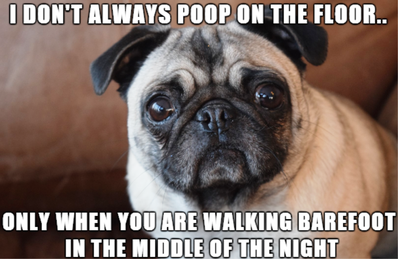 I Dont Always Poop On The Floor