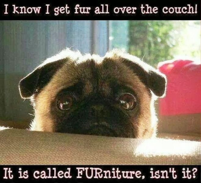 I Know I Get For All Over The Couch