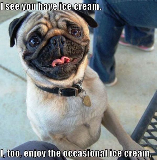 I See You Have Ice Cream