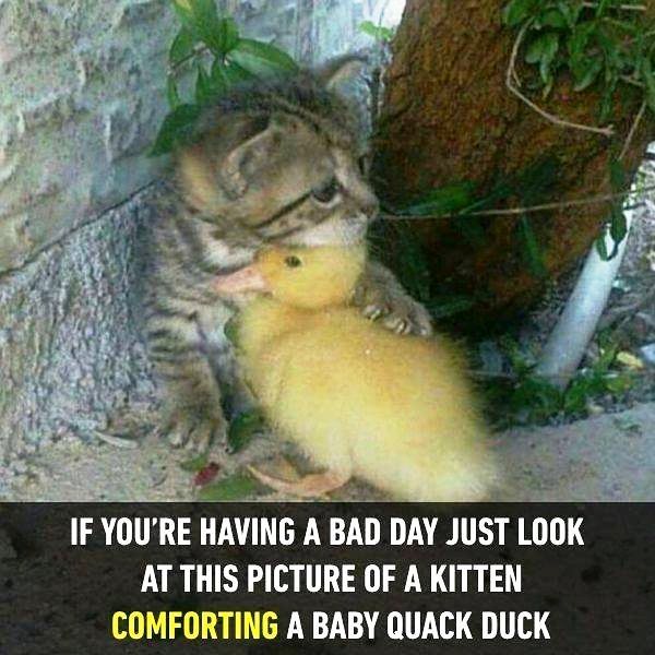 If You re Having A Bad Day