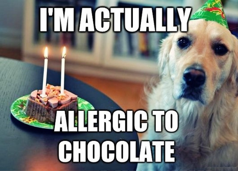 Im Actually Allergic To Chocolate