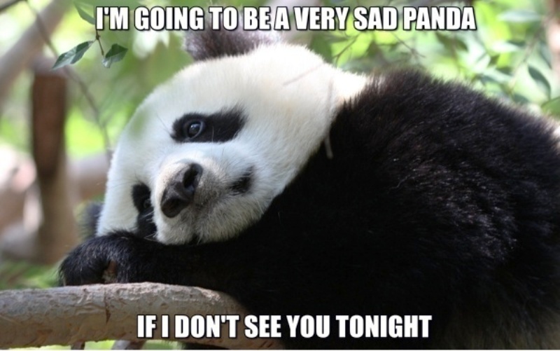 Im Going To Be A Very Sad Panda