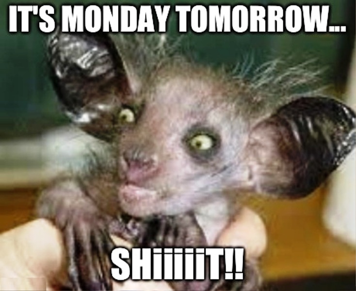 Its Monday Tomorrow