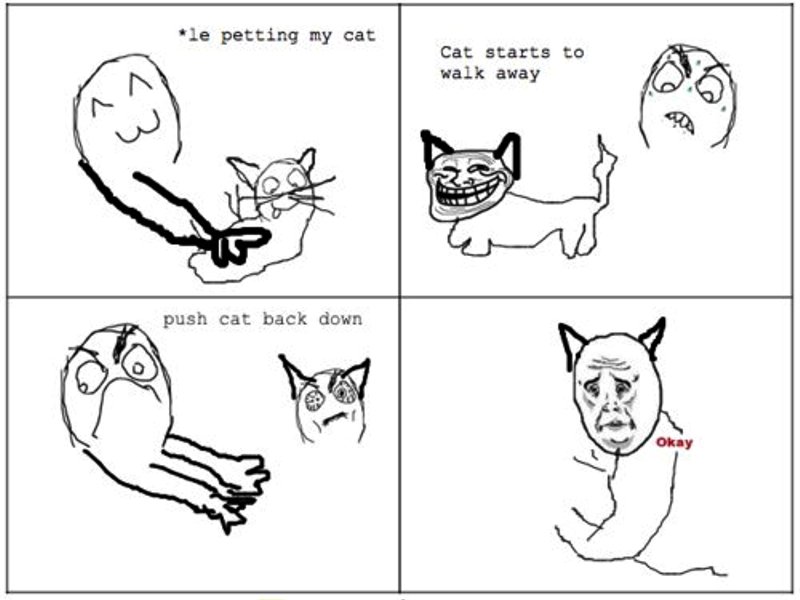 Le Petting My Cat