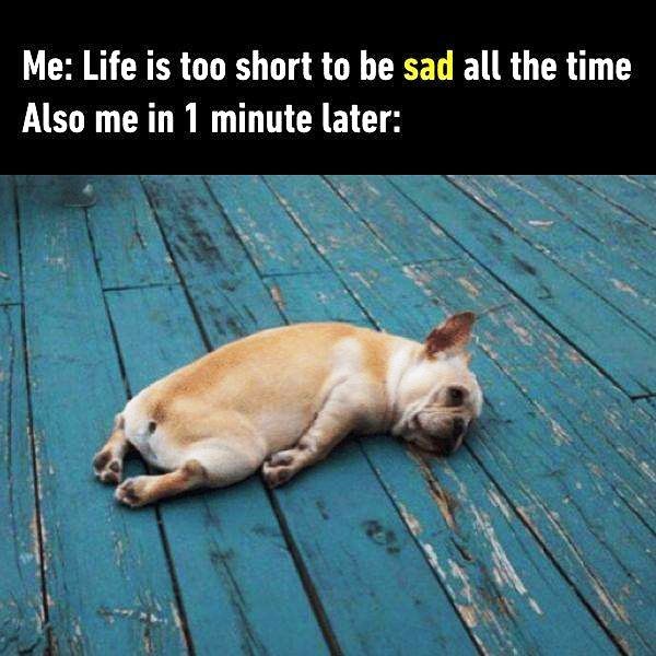 Life Is Too Short To Be Sad All The Time