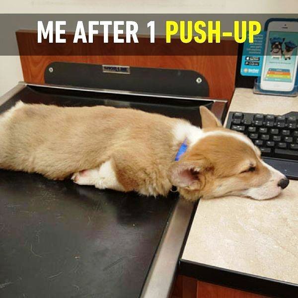 Me After 1 Push Up