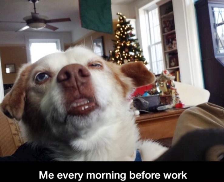 Me Every Morning Before Week