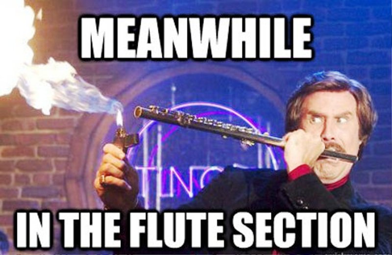 Meanwhile In The Flute Section