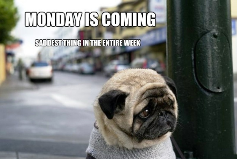 Monday Is Coming
