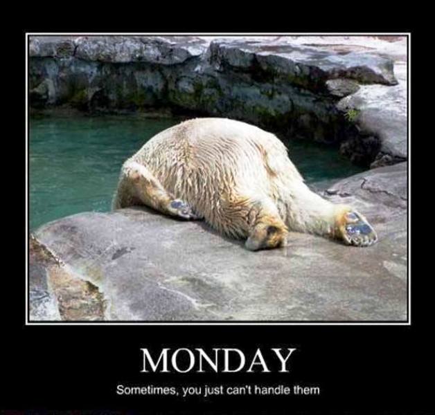 Monday Sometimes You Just Cant
