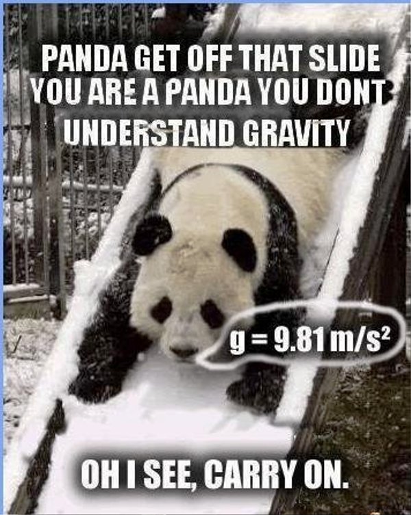 Panda Get Off That Slide