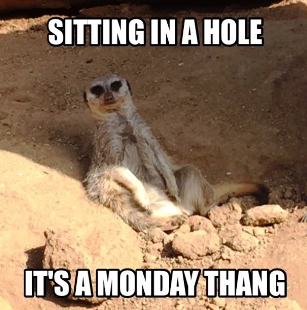 Sitting In A Hole