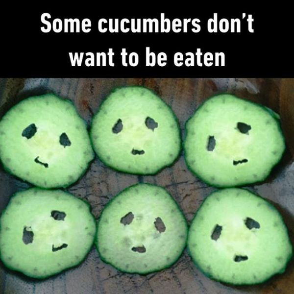 Some Cucumbers Dont Want To Be Eaten