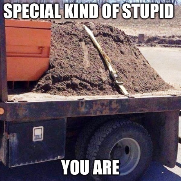 Special Kind Of Stupid You Are