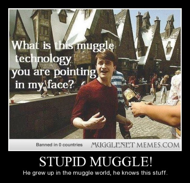 Stupid Muggle