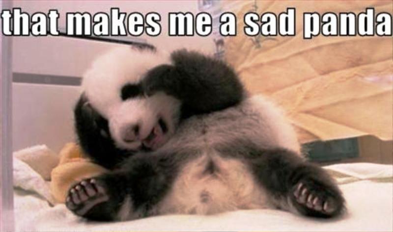 That Makes Me A Sad Panda