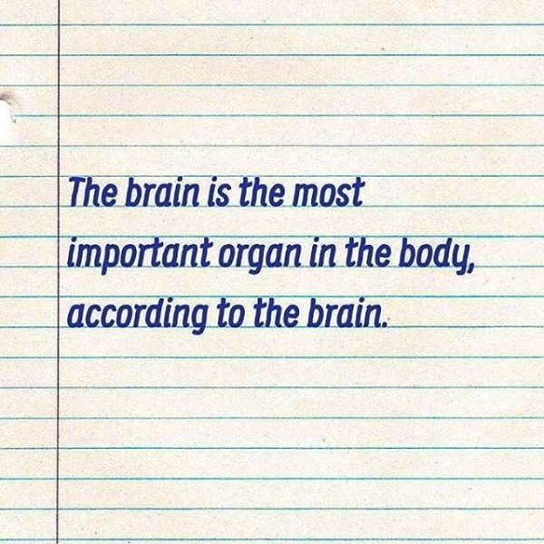 The Brain Is The Most Important Organ