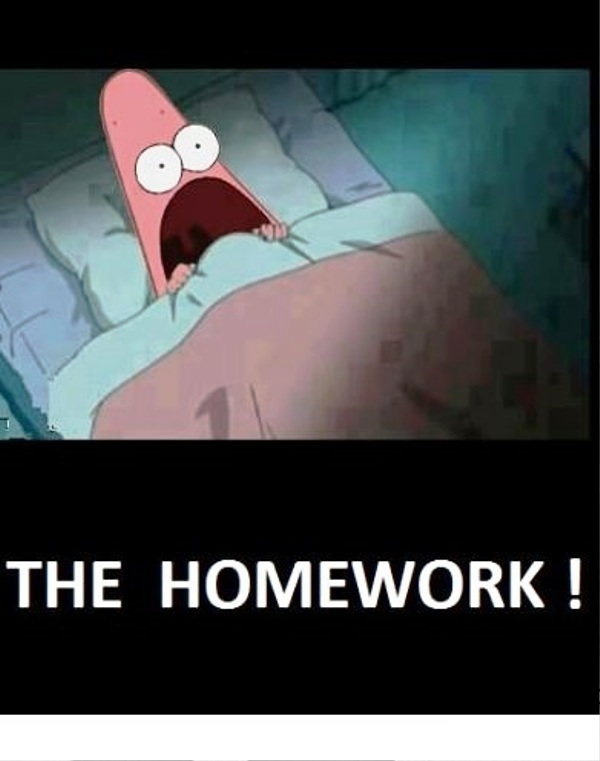 The Homework