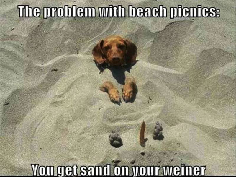 The Problem With Beach Picnics