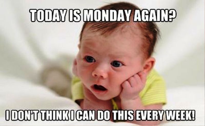 60 Best Collection Of Monday Memes - Funny Memes