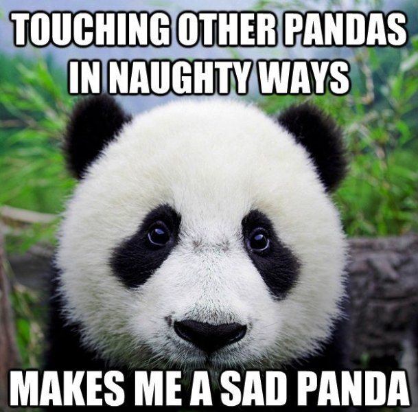 Touching Other Pandas In Naughty Waysjpg