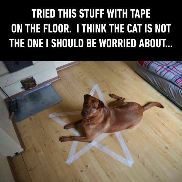 Tried This Stuff With Tape On The Floor