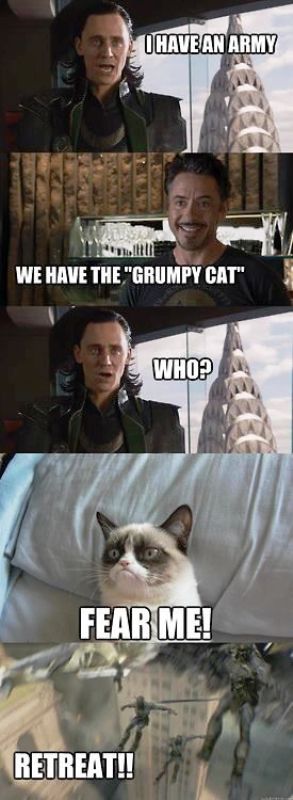 We Have The Grumpy Cat