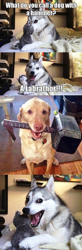 What Do You Call A Dog With A Hammer